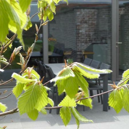 Camilles House Villa Wijtschate Kültér fotó